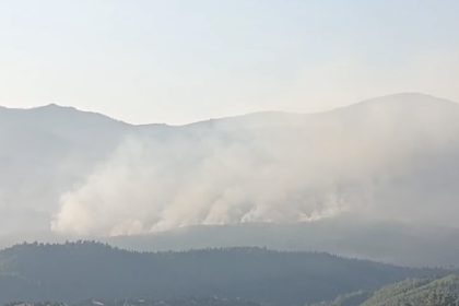 izmirde-orman-yangini-suruyor-gunun-aydinlanmasiyla-havadan-mudahale-yeniden-basladi