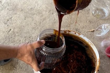 tarim-muduru-akardan-kisa-tatli-hazirlik
