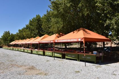 yarislar-kenti-magnesiada-tarihi-koy-pazari-hazirligi