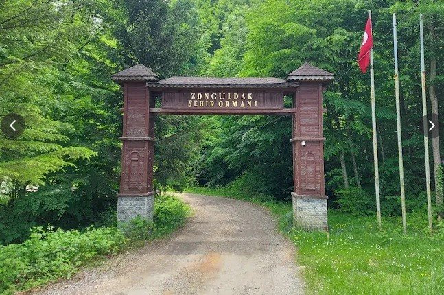 zonguldak-ormanlarda-ates-yakilmasi-yasaklandi
