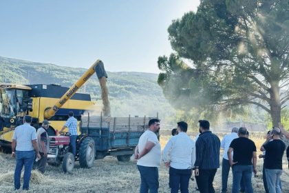 mentesede-bugday-hasadinda-sona-yaklasildi-7-bin-ton-rekolte-bekleniyor