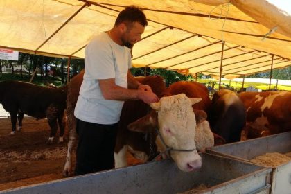 ulke-genelinde-tum-hayvan-pazarlari-kapatildi