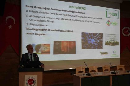 bati-karadeniz-bolgesinin-20-yillik-ormancilik-stratejisi-bu-calistayda-belirlendi
