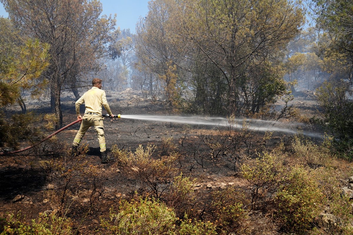 burhaniyede-orman-yanginina-havadan-ve-karadan-mudahale-ediliyor