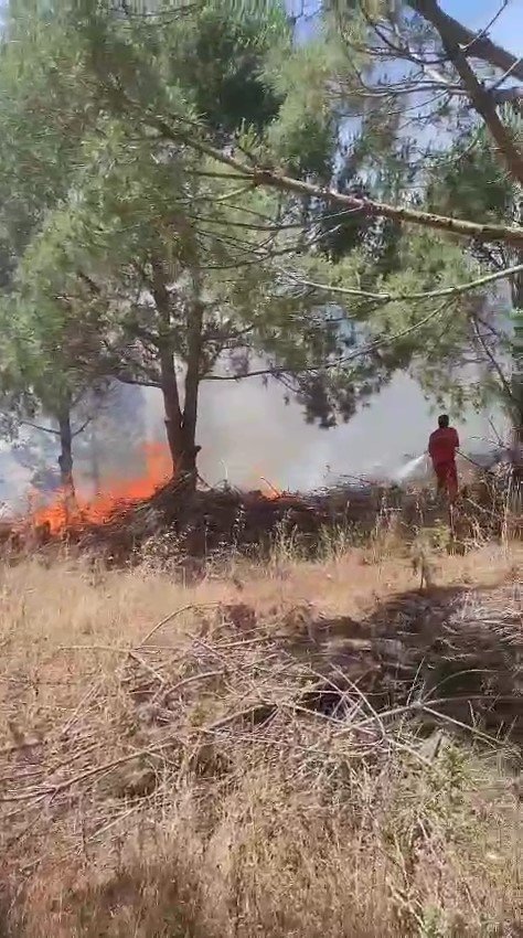 bursada-agaclik-alanda-cikan-yangina-mudahale-ediliyor