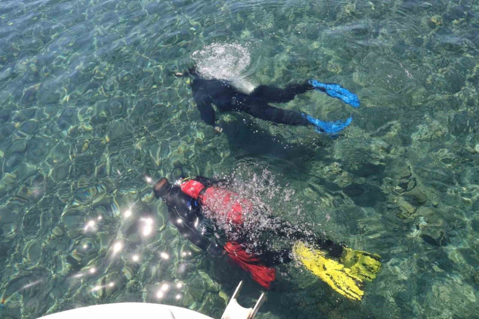 gundoganda-deniz-dibi-temizligi