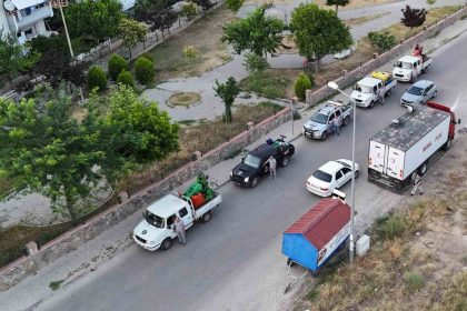nazilli-belediyesinden-hasere-ile-etkin-mucadele
