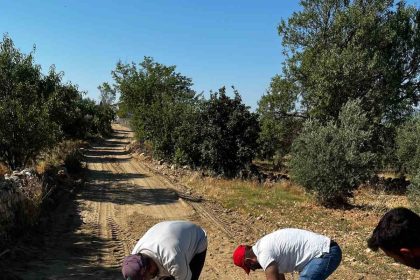 yaykin-mahallesinde-yol-calismalari-devam-ediyor