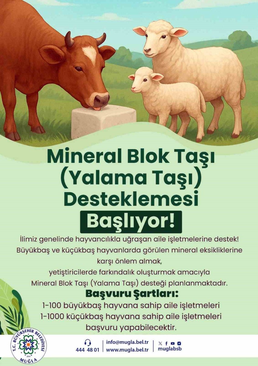 buyuksehirden-hayvanlara-yalama-tasi-destegi