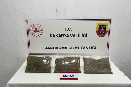 jandarma-uyusturucuya-gecit-vermiyor-1-tutuklama