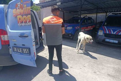 kopegi-otomobile-baglayarak-cektiren-sahsa-ceza