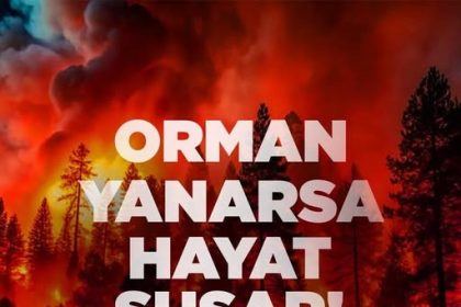 baskan-putun-orman-yanarsa-hayat-susar