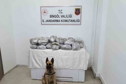 bingolde-49-kilo-esrar-ele-gecirildi
