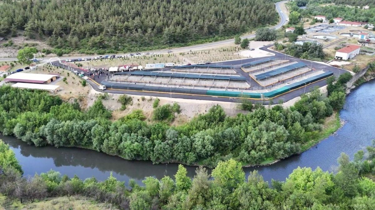 bu-tesiste-3-bin-sahipsiz-hayvanin-barinma-tedavi-ve-rehabilitasyonu-saglanacak