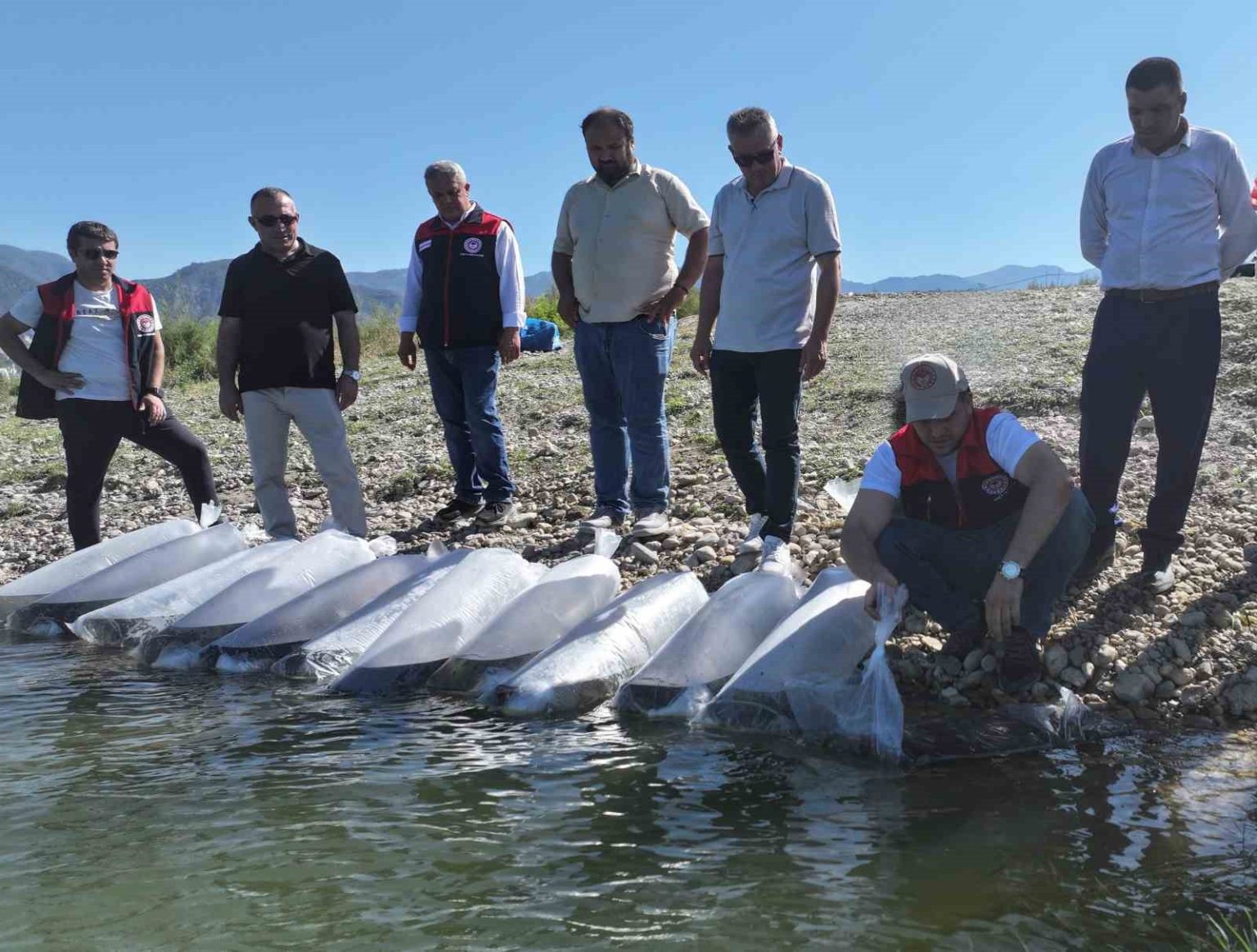 denizlide-gol-ve-goletlere-1-milyon-sazan-yavrusu-birakildi