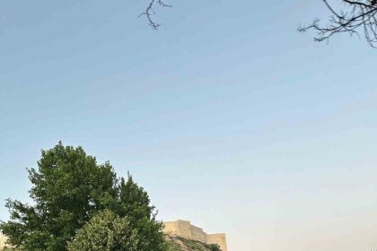 gaziantep-buyuksehirden-kene-ve-diger-zararlilara-karsi-tedbir-amacli-ilaclama