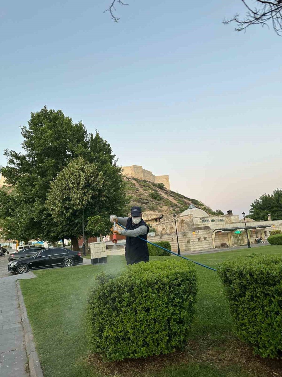 gaziantep-buyuksehirden-kene-ve-diger-zararlilara-karsi-tedbir-amacli-ilaclama