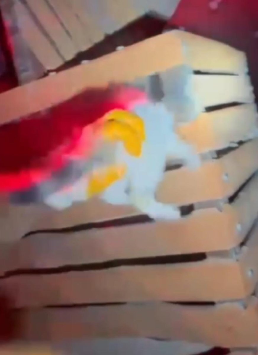 itfaiyeden-gece-yarisi-kedi-kurtarma-operasyonu