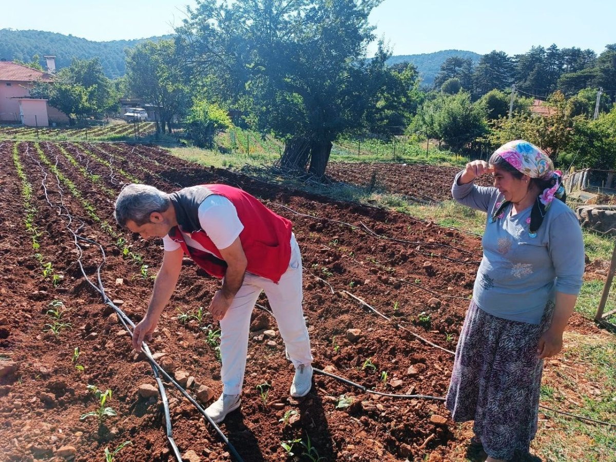mentesede-tarim-ekiplerinden-urun-kontrolu-ve-ciftci-ziyareti-gerceklestirildi