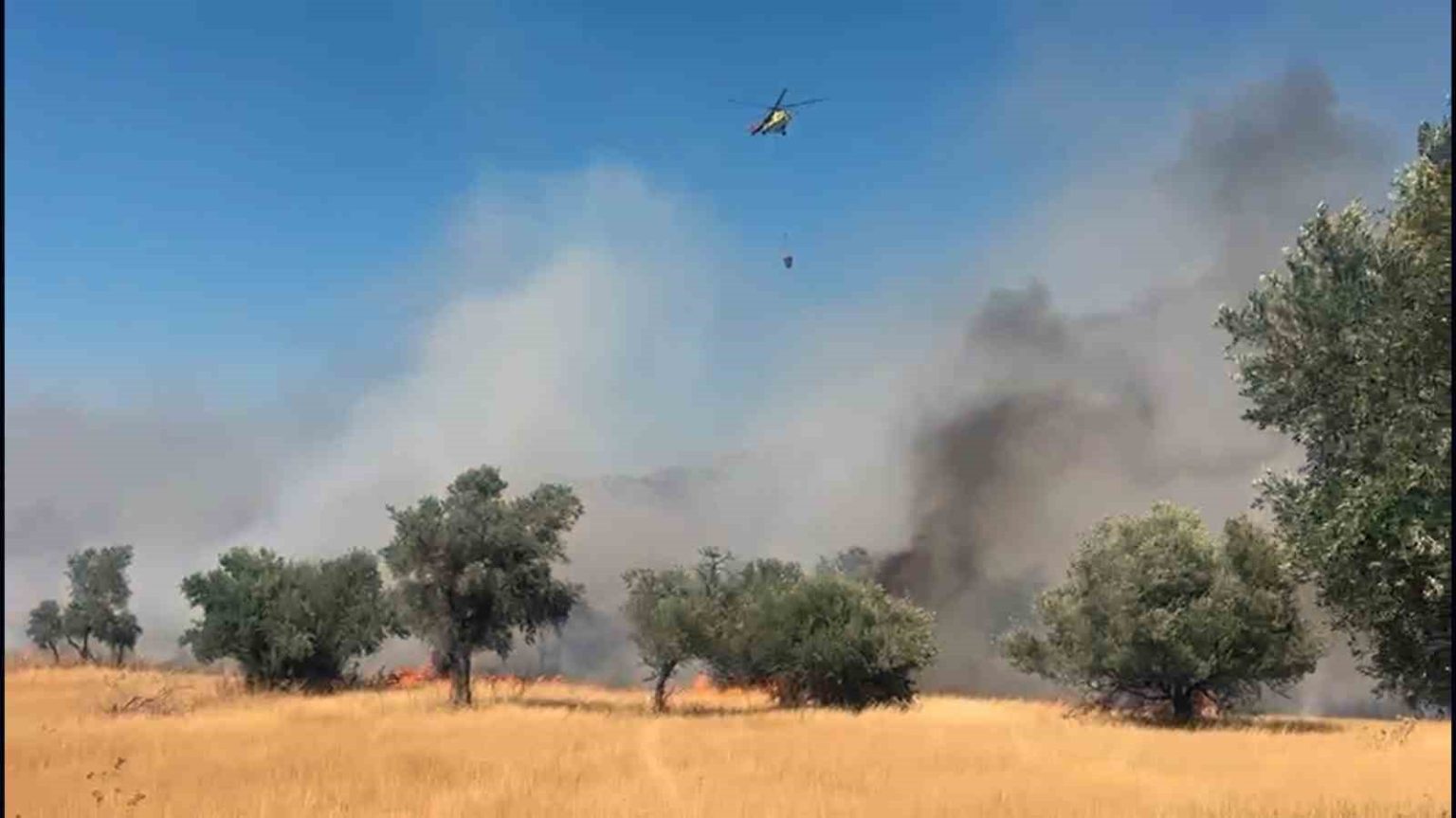 milas-pinarcik-yanginina-5-helikopter-4-ucak-mudahale-ediyor