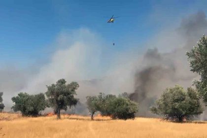 milas-pinarcik-yanginina-5-helikopter-4-ucak-mudahale-ediyor