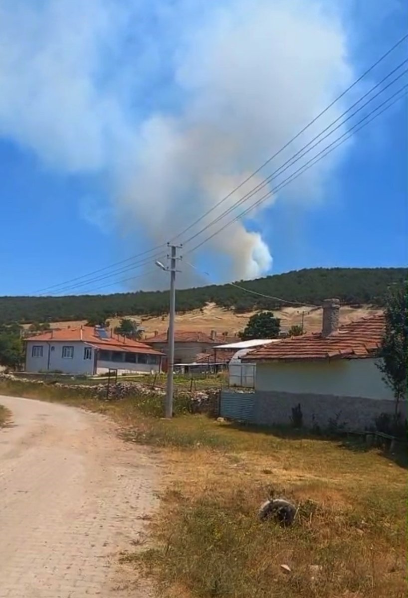 seyitgazide-orman-yangini