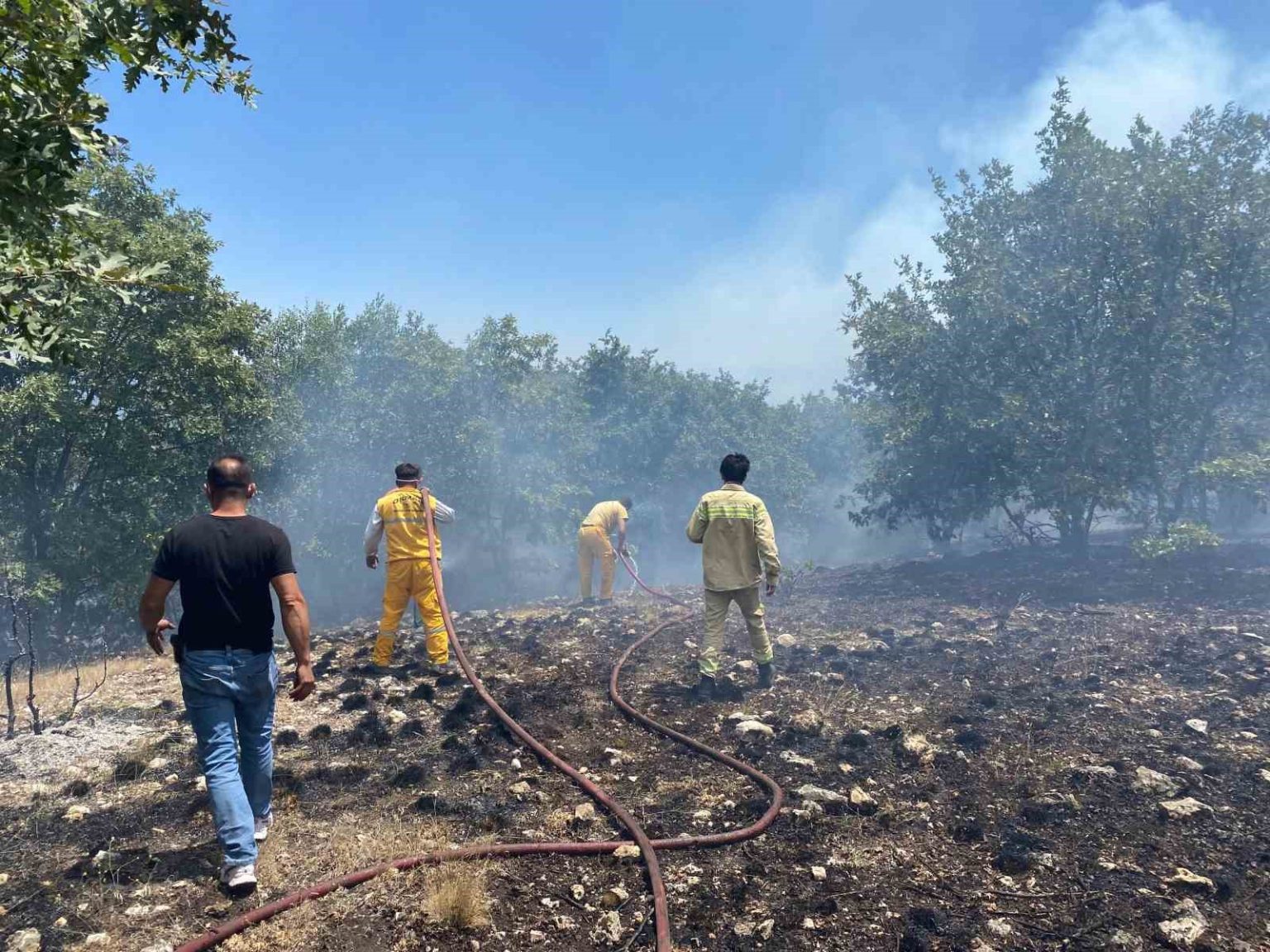 seyitgazide-orman-yanginina-ekiplerin-mudahalesi-basladi