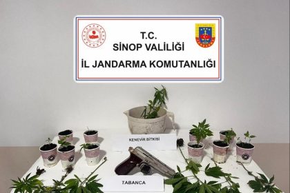 sinopta-jandarmadan-kenevir-operasyonu-4-supheliye-adli-islem