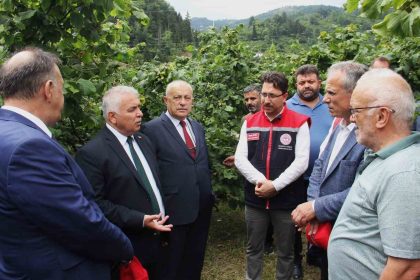 vali-bile-bahceye-inmeyen-findik-ureticisine-sitem-etti