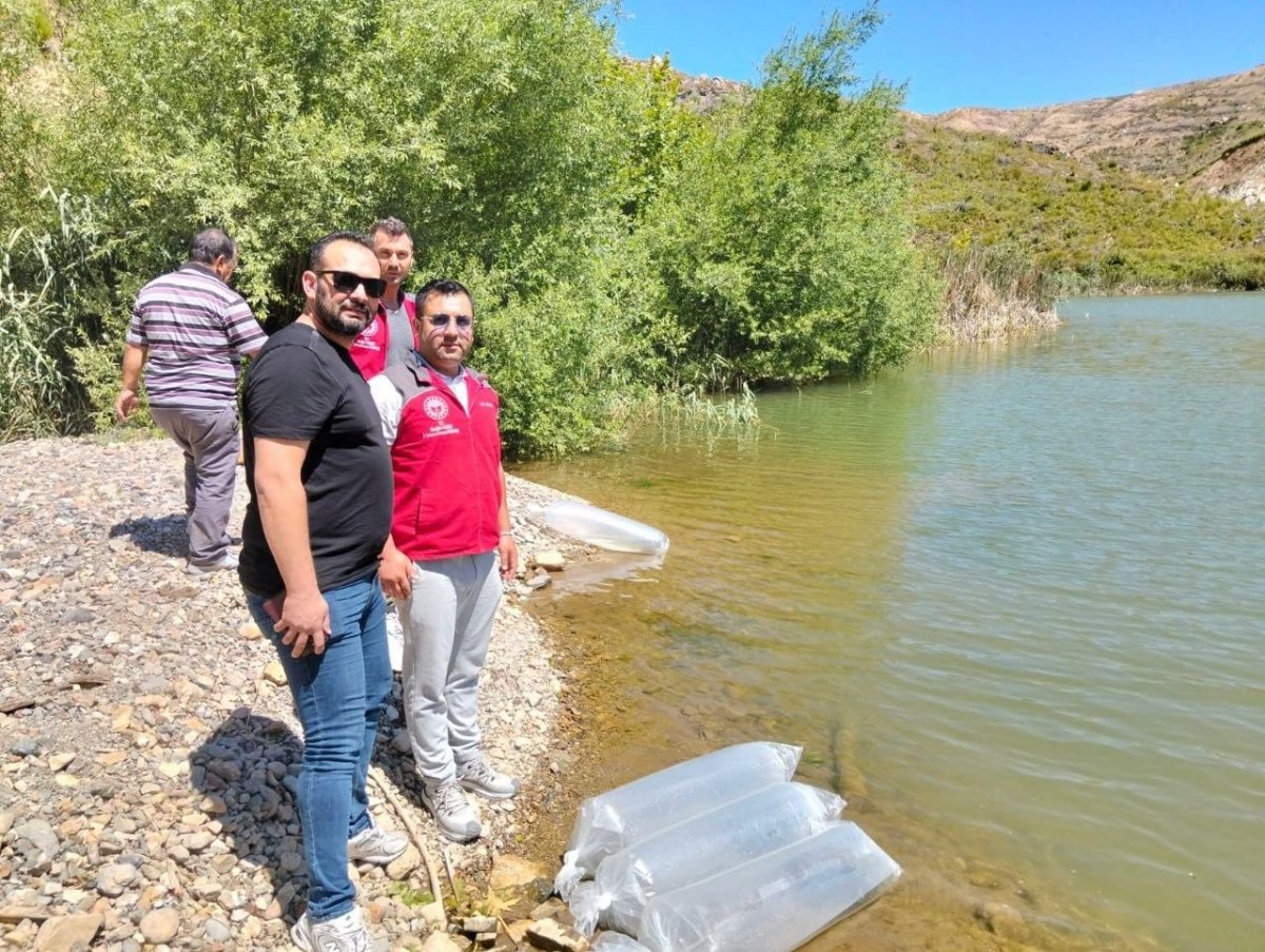kozagac-baraj-golune-40-bin-sazan-yavrusu-birakildi