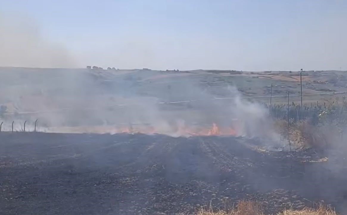 arnavutkoyde-tarla-yangini