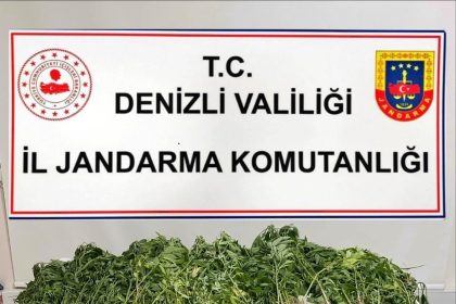 denizlide-343-kok-hint-keneviri-ele-gecirildi