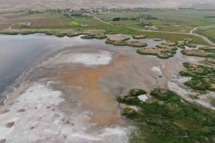 ercek-golunun-kiyilari-kuruyor-uzmanlar-uyariyor