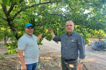 ispanya-modeliyle-2-milyon-liralik-kayisisini-kurtardi