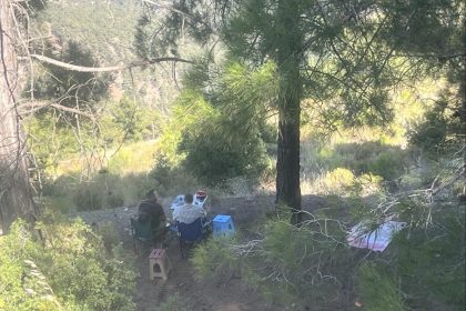 ormanda-piknik-yapan-4-sahsa-yasal-islem-yapildi