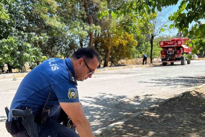 yanmak-uzere-olan-kaplumbagayi-polis-son-anda-kurtardi