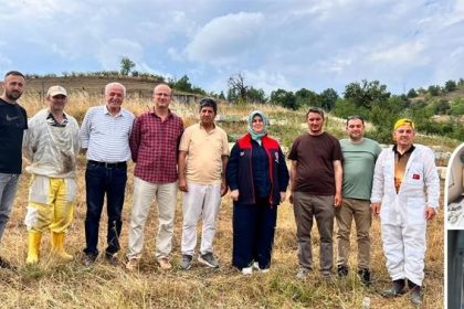 yigilca-arisi-icin-suni-tohumlama