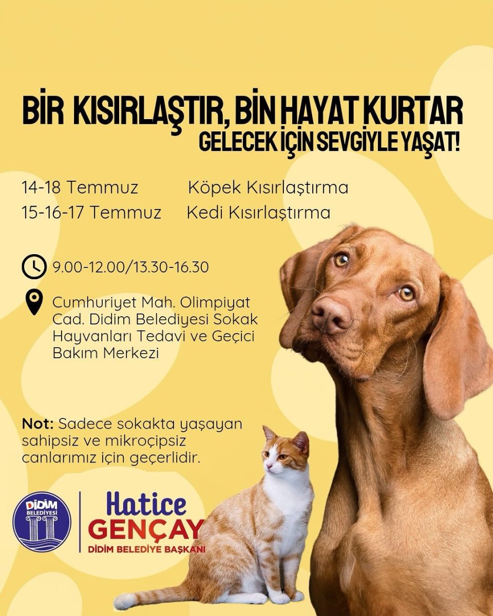 didim-belediyesinden-sokak-hayvanlarina-ucretsiz-kisirlastirma-hizmeti
