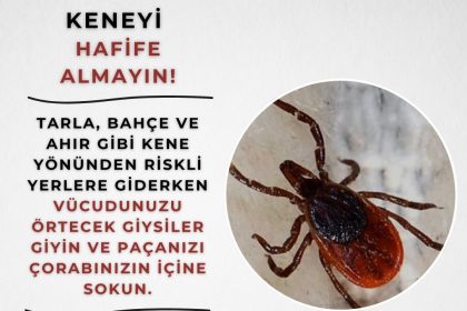 eskisehir-valiliginden-kene-uyarisi