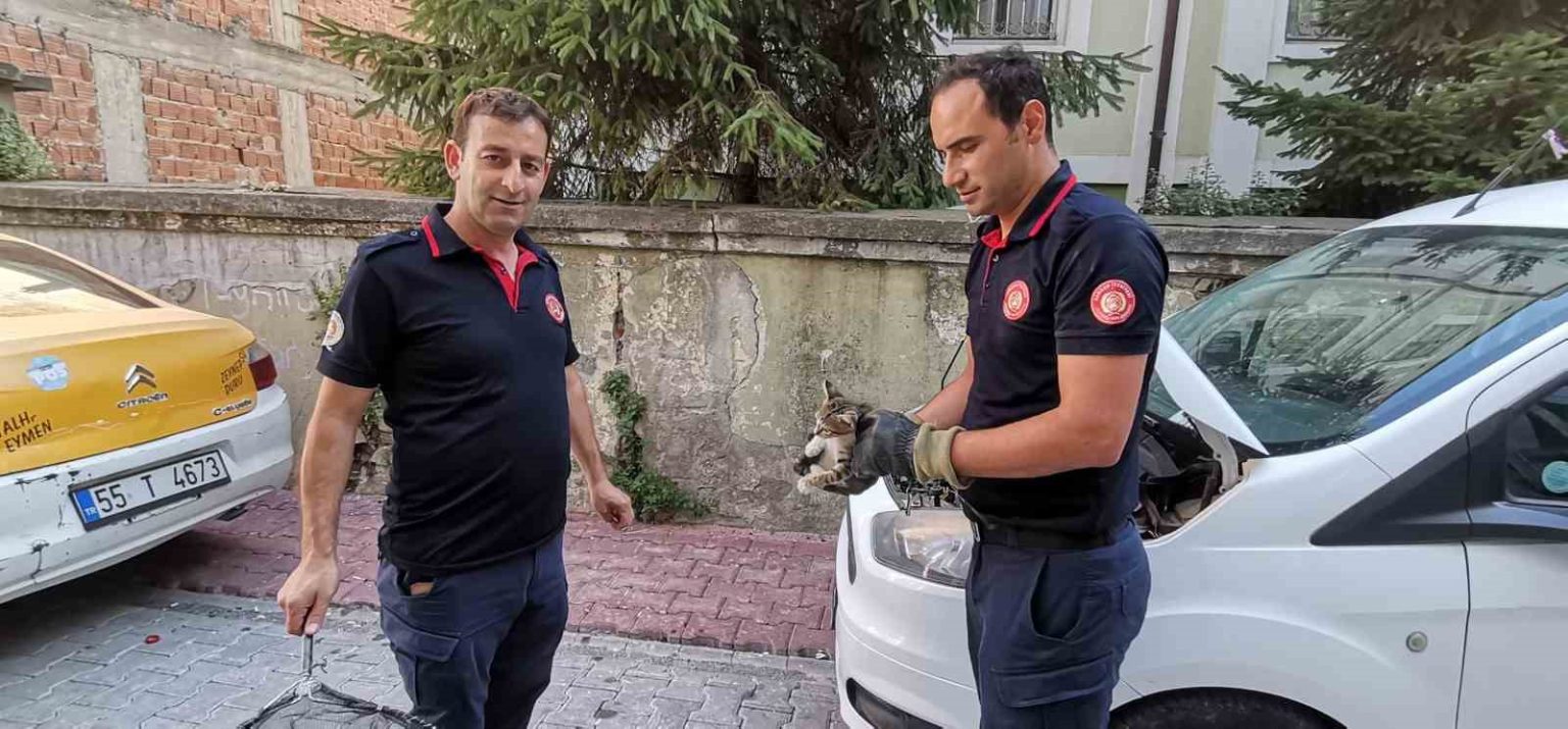 itfaiye-ekiplerinden-yavru-kedi-kurtarma-operasyonu