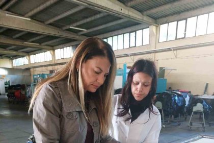muhendislik-ve-sanat-deride-bulusuyor