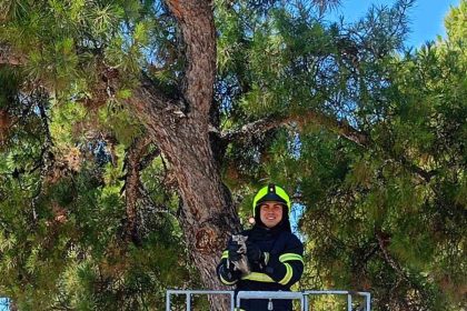 balikesir-itfaiyesinden-kedi-kurtarma-operasyonu