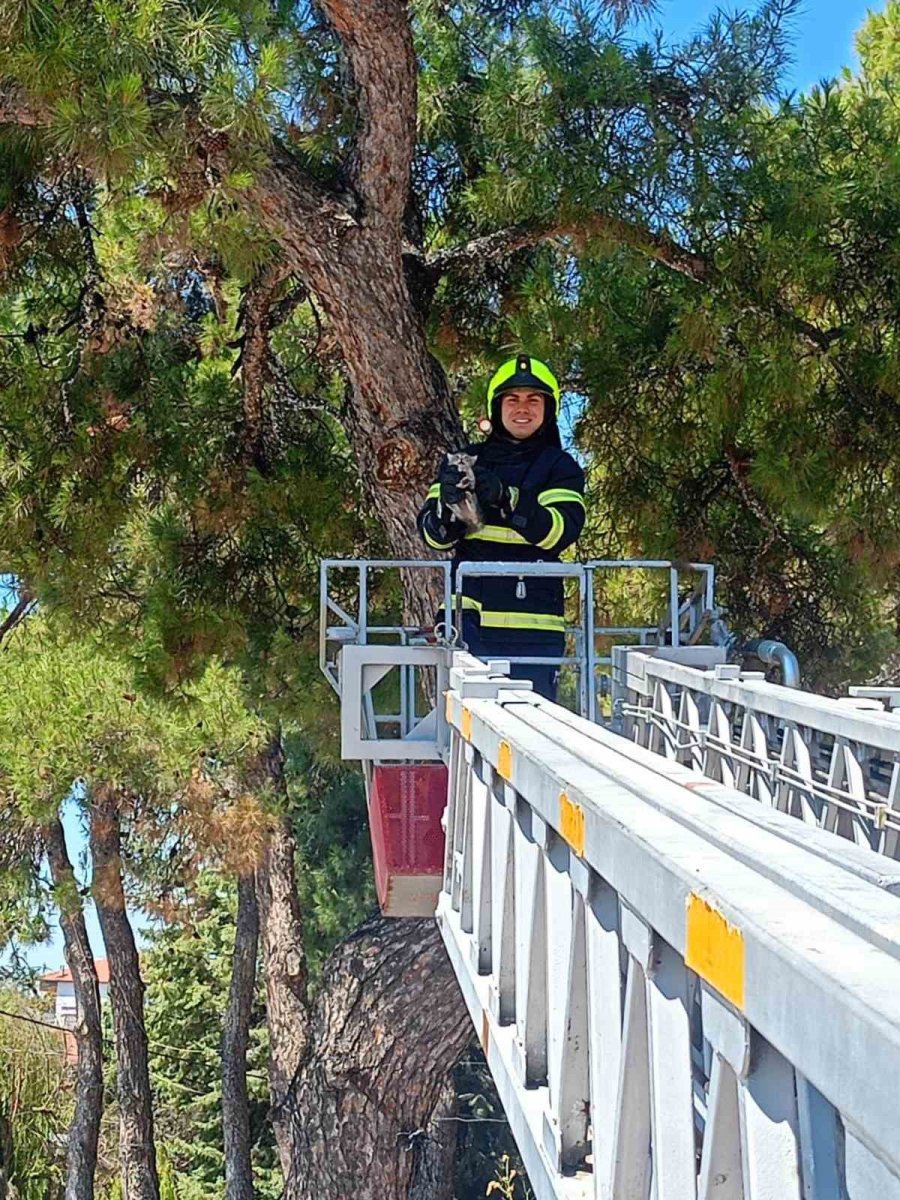 balikesir-itfaiyesinden-kedi-kurtarma-operasyonu