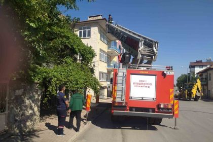 beysehirde-itfaiyenin-kedi-kurtarma-seferberligi