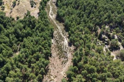 cinede-orman-yanginlarina-karsi-onleyici-temizlik-calismasi-yapildi