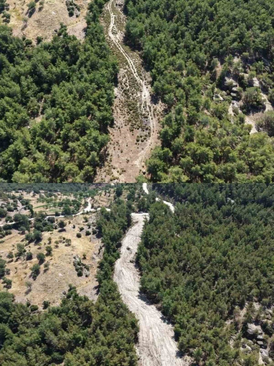 cinede-orman-yanginlarina-karsi-onleyici-temizlik-calismasi-yapildi
