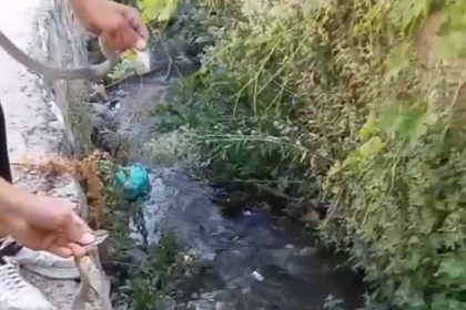 hakkaride-toprak-evin-tavanina-yuva-yapan-yilanlar-dogaya-salindi