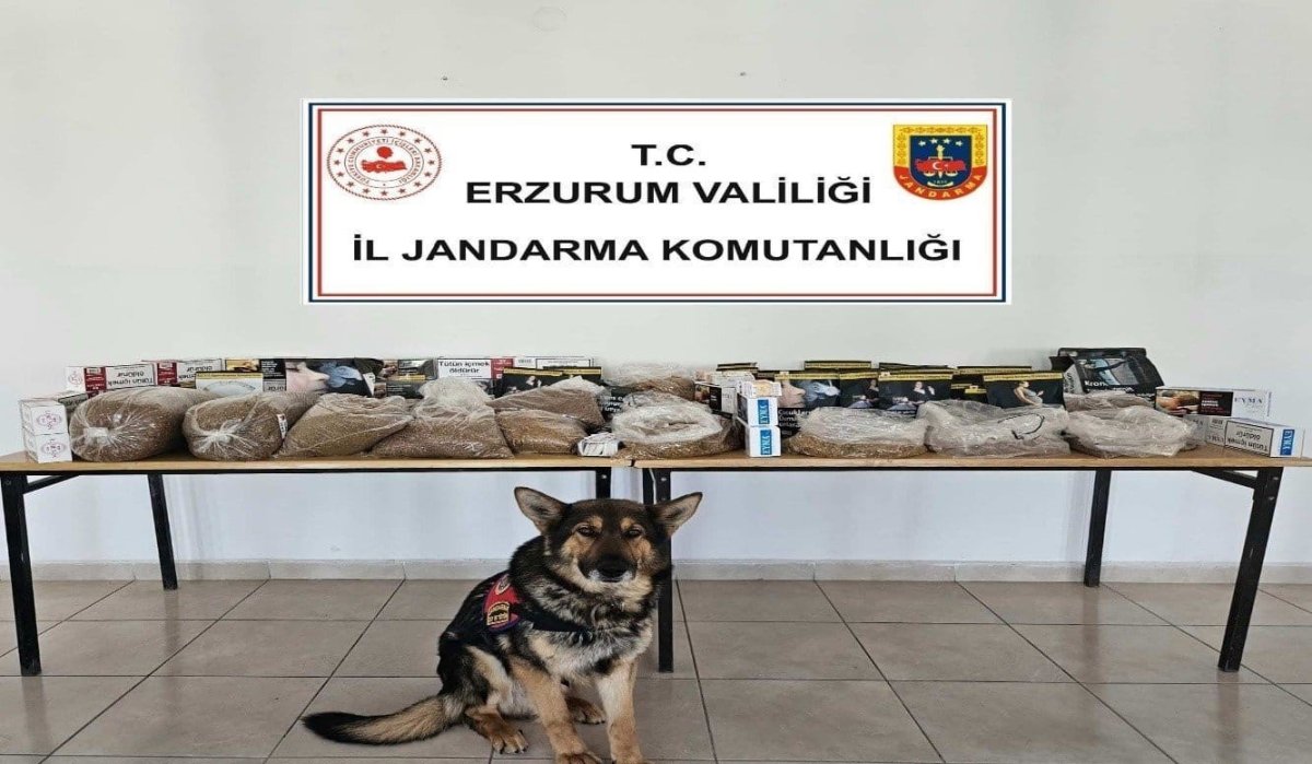 jandarmadan-kacakcilara-operasyon