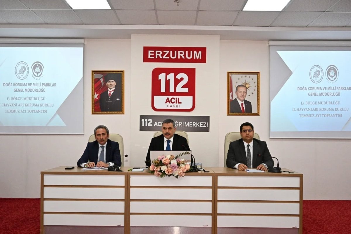 sokak-hayvanlari-mercek-altinda