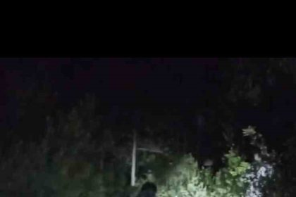 5-metre-yukseklikten-magaraya-dusen-genc-kurtarildi